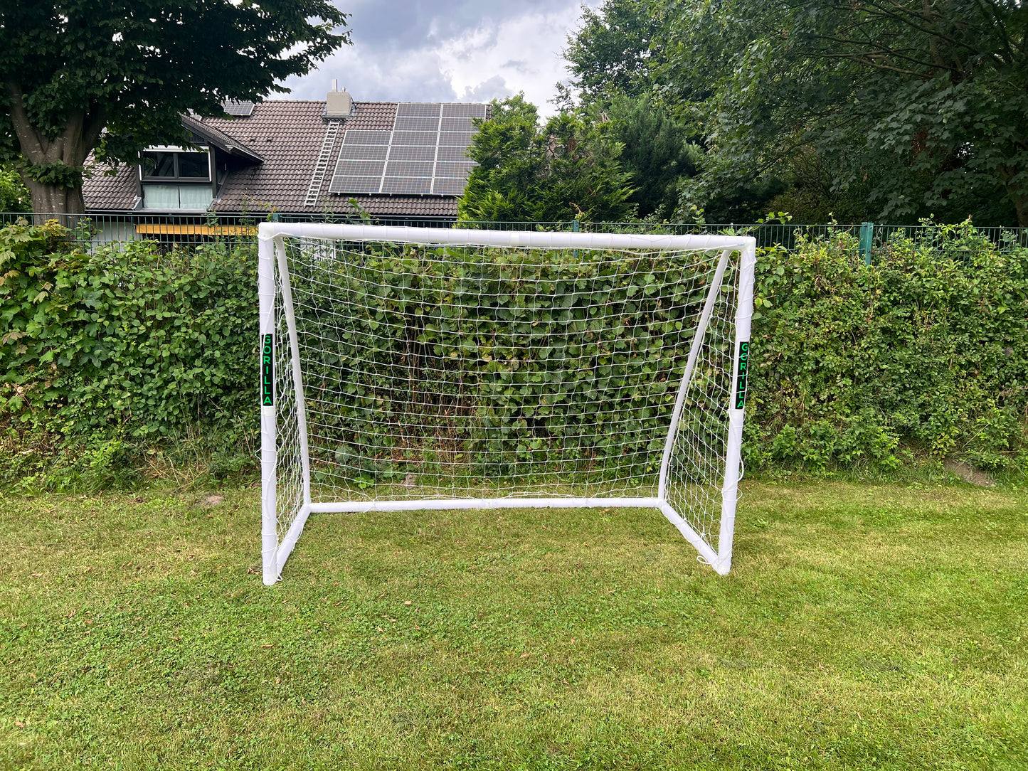 Gorilla Goal - 3 sizes in 1