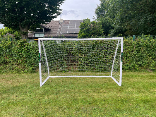 Gorilla Goal - 3 sizes in 1