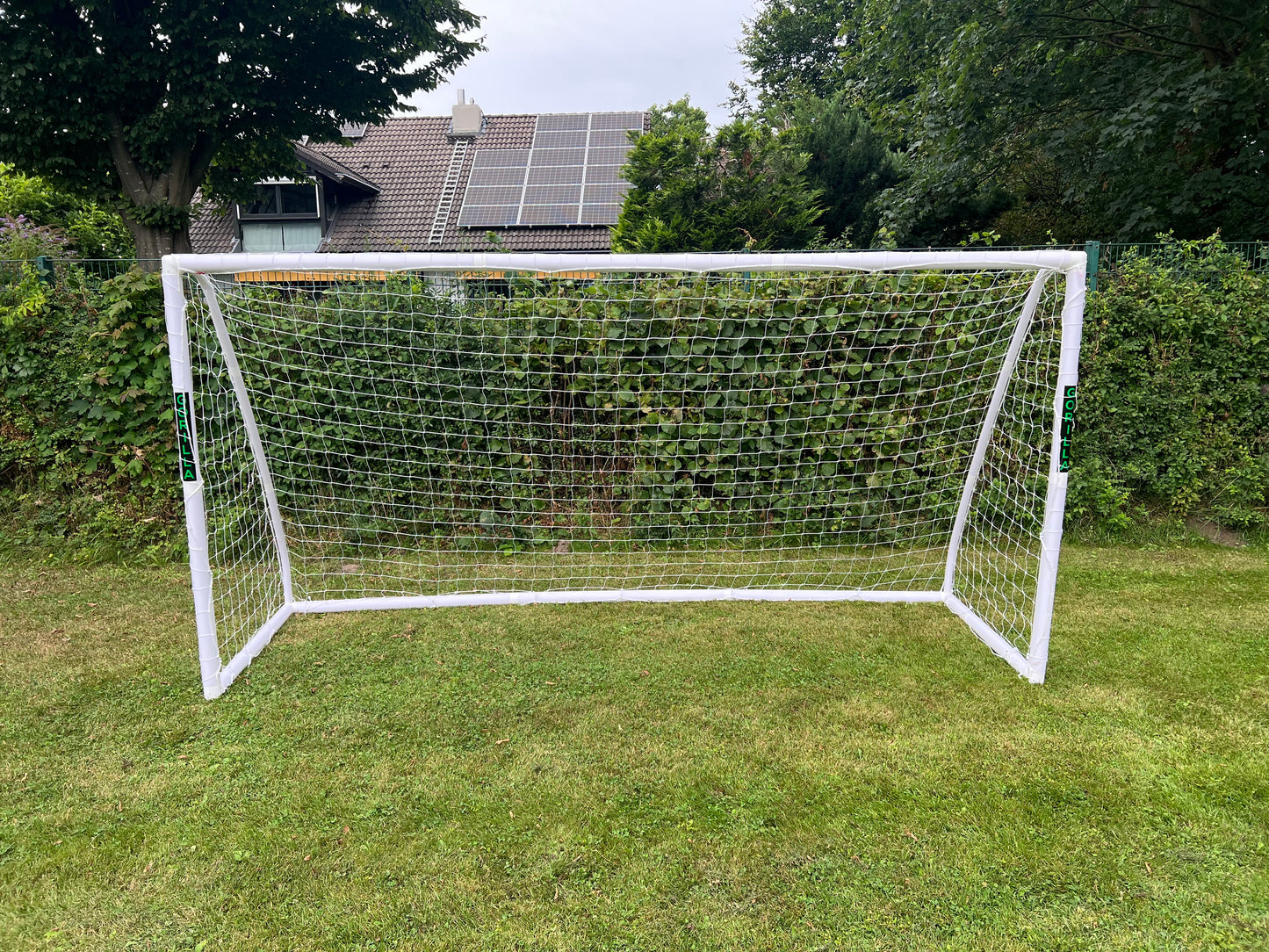 Gorilla Goal - 3 sizes in 1